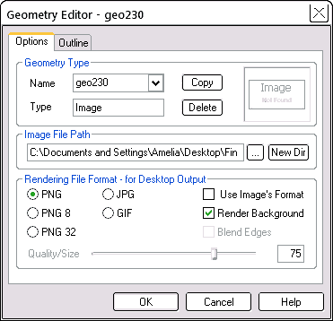 Geometry Editor Options tab